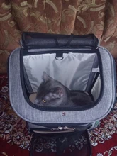 Pet-Carrier-Bag Cat-Backpack Cat Travel Shoulder-Bag Pet-Supplies Cats Dogs Small Outdoor