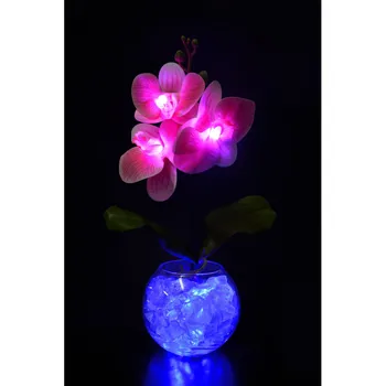 

Night Orchid pink (blue) 3 flower