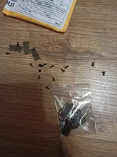 NAIERDI-Mini bisagras de mariposa para puerta, oro, plata, bronce gabinete, cajón, joyería, decoración, bisagra para muebles, 10 Uds.