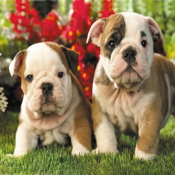 

9137sh pillow case matrenin Posad 'karabl' 39*39 cm