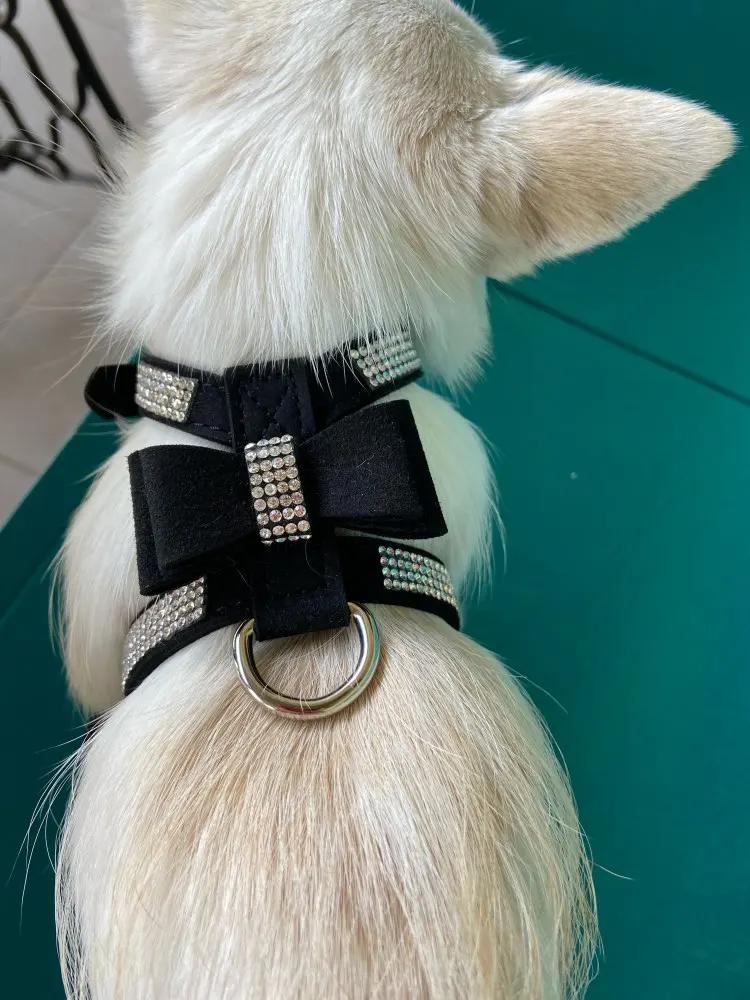 MEGA Cute Dog Harness for Small Dog photo review
