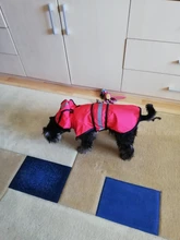 Jumpsuit Hoodies Pet-Coat Rain-Jacket Reflective French-Bulldog-S-2xl Waterproof Medium