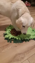 Dog Puzzle Feeding-Mat Training-Blanket Pet-Snack Interactive-Game Snuffle Toy Boring
