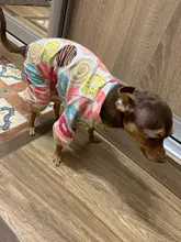 Dogs-Pajamas Clothing Shirt Puppy-Jumpsuit Pomeranian Chihuahua Dog-Coat Pet-Dogs Small