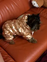 Ropa de abrigo para Perros Bulldog Francés, Ropa de cachorro, Chihuahua, yorkie, abrigo de perrito mascota, chaqueta, perros, mascotas