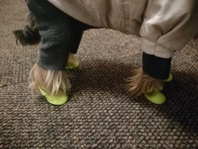 Rain-Shoes Boots Husky Puppy Pets Dog Chihuahua Large Waterproof Anti-Slip Small 