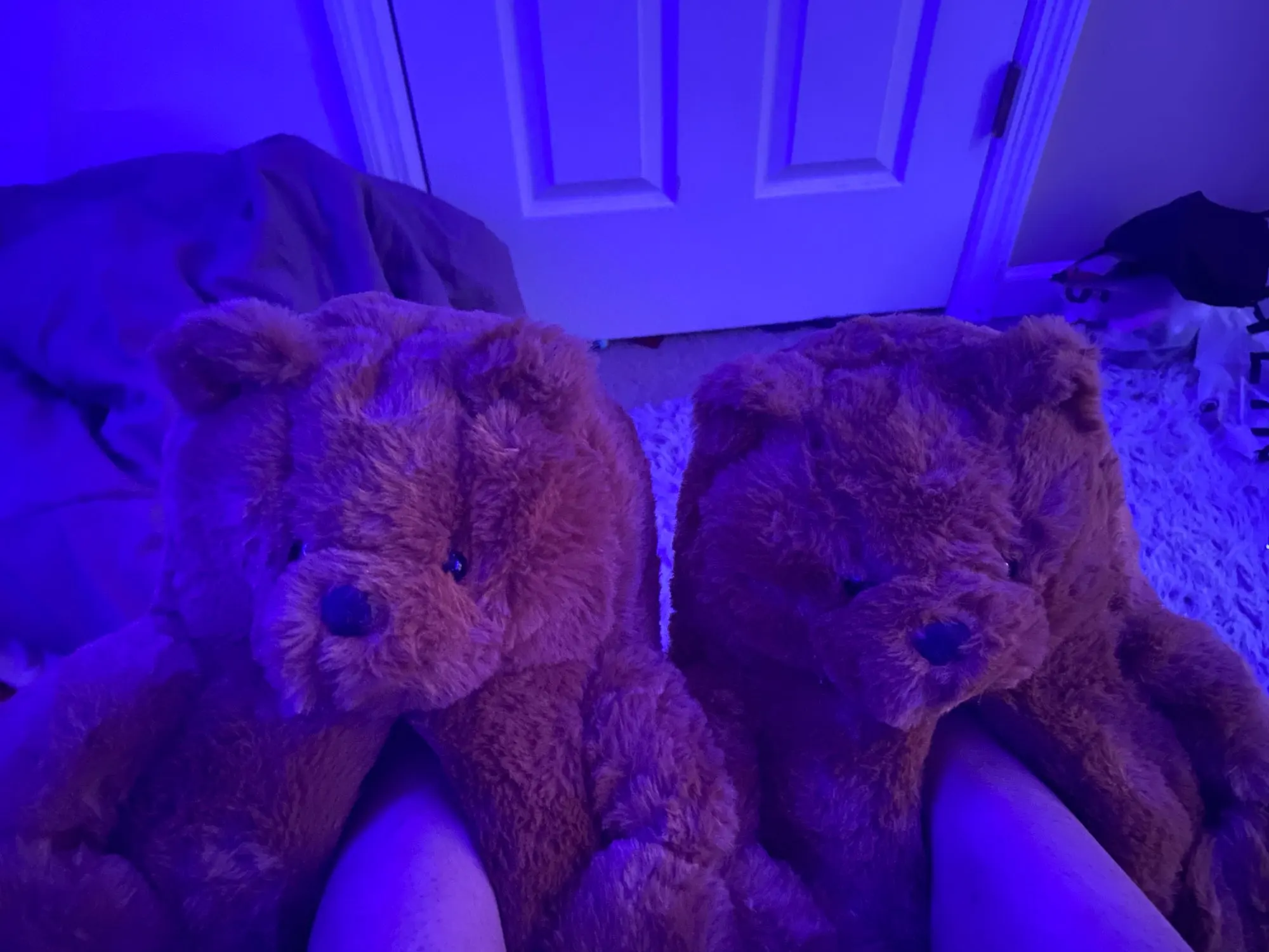 Comfy Teddy Bear Plush Slippers photo review