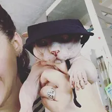 Dog-Sunscreen-Accessories Cap Baseball-Cap Canvas Small Outdoor Summer Hat Pet-Dog