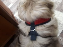Perro pequeño arnés del animal doméstico ajustable Collar arnés para perro de seguridad de la correa Chaleco de malla de correa de perro Collar para cachorros y gatos para suministros de perro pequeño