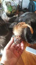 Cat-Toys Pet-Products Mice Catnip Animal Interactive