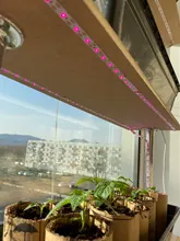 Phyto Lamp Flowers Grow-Light Greenhouse-Cultivo Smd-Plants Strip-0.5m Hydroponic Full-Spectrum