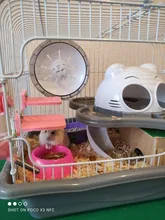 Hamster Platform Stand Rack Rectangle Squirrel Cage Colorful Wooden Plate Toys