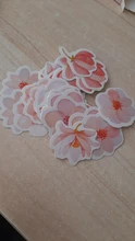 Mohamm-planificador de flores de cerezo japonés, diario de flores, decoración de papel, pegatinas Kawaii pequeñas, diario de álbum de recortes