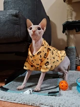 Cartoon Cat Hoodie Sweater Autumn Winter Pet Cat Clothes for Cats Katten Kedi Pullovers