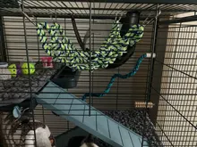 Climbing-Net Ladder Parakeet Swing Hanging-Rope Pets-Bird-Cage Gym-Toys Parrot Play 