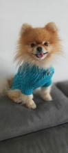UFBemo Knitted Cable Dog Sweater Dachshund Cat Pull Chien Teckel Clothes Christmas Winter