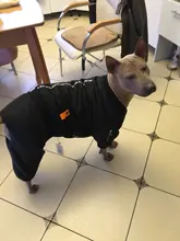 HOOPET Large Coat Down-Jacket Winter New Warm Autumn for Dogs Dog-Prints Overalls Leisure-Style