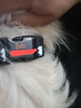 Collar de nailon personalizado para perros pequeños, medianos y grandes, con estampado colorido, correa para caminar