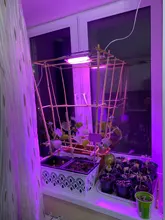 Phyto-Lamp Floodlight Greenhouse-Plant-Hydroponic-Plant Outdoor Full-Spectrum 220V 50w Led