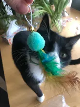 10pcs Replacement Cat Feather Toy Set Cat Feather Teaser Wand Ball Toy for Kitten Cat