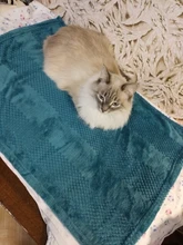 House Kennel Blanket Animal Coral-Fleece Small Home Sofa-Bed Dog-Pet Scratch Soft Warm