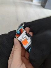 Collar de identificación de perro personalizado, nailon, placa de etiqueta grabado gratis para perros pequeños, medianos y grandes, Pitbull