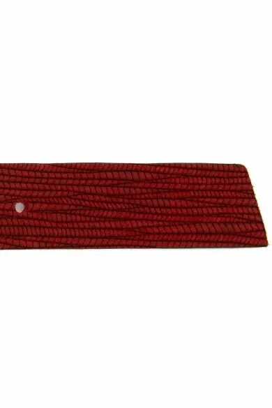 Uss. POLO ASSN. Для женщин Ремни - Цвет: Red 1