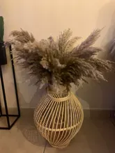 Pampas-Grass Reed Flower Wedding-Decoration Bunch Light-Color Natural Dried Christmas