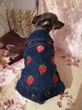 Ropa vaquera de XS-2XL para perro, abrigo para perros, ropa de cachorro, pantalones vaqueros para perro, chaqueta, chaleco abrigo para perro, trajes para cachorro, ropa para gato