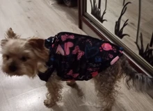 Puppy Vest Coat Clothing Jacket Dogs Chihuahua Waterproof Large Winter Medium Pet-Dog