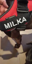 Label Sticker Harness Name-Tag Custom K9 Personalized PU 2pcs Pet-Dog
