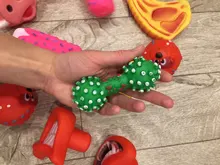 Squeaky Toy Ball Dog Fetching Play Puppy-Cat Chew-Sound Funny Quack 10PCS for Small Pet-Dog