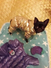 Jacket Clothing Puppy Small Dogs Waterproof Winter Overalls Pet-Coat Dog-Jumpsuit Fleece