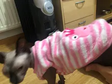 Jacket Outfits Dog Coat Pug-Costume Small Dogs Soft Chihuahua Cartoon Fleece Winter Warm