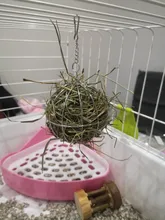 Bola de heno colgante para hacer ejercicio, bola redonda de acero inoxidable para alimentación, hámster, conejillo de indias, juguete para mascotas