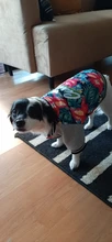 Jacket Costume Coat Bulldog-Clothes Small Dog Pug French Winter Pet-Dog Warm Cute 