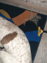 Peine para perros y gatos, Accesorios de belleza para mascotas, rastrillo de pelo con bordes deshilachados, herramienta de vertimiento