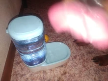 3.8L Pet Cat Automatic Feeders Large Capacity Cat Water Fountain Plastic Dog Water Bottle