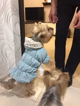 Hoodie Coat Outfit Warm-Dress Girl Dog Winter Princess New Floral 6-Sizes Bubble-Skirt