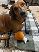 Anti Bite Dog Toys Simulation Panda Drumstick Toy Puppy Pet Play Chew Toys Squeaky Toys