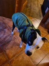 Pet-Dog-Jacket Harness Bulldog-Outfits Labrador Warm French Chihuahua Waterproof Large