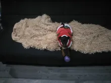 Christmas Dog Clothes Small Dogs Santa Costume for Pug Chihuahua Yorkshire Pet Cat Clothing