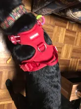 Adjustable Harness Dog-Accessories No-Pull-Vest Truelove Large Padded Pet-Dog Outdoor-Sport