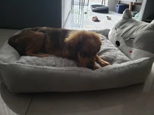 Bed-Mats Blanket-Supplies Kennels Pet-Sofa Cat-House Dogs Cartoon-Shaped Large Cute Dog-Pad