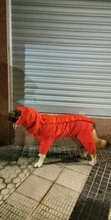 Mono impermeable para perro mascota, ropa impermeable para exteriores, mono con capucha para perros pequeños y grandes, capa impermeable, Bulldog francés