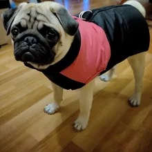 Vest Jacket Pets-Clothing Pug-Coat Puppy Dogs French Bulldog Waterproof Small Winter