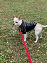 New Arrival Noble Pet Dogs Winter Vest Coat Fur Collar Russia Classic Dogs Clothing Soft