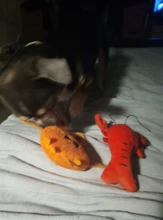 Pet-Supplies Dog-Toys Puppy-Training-Toy Carrot Banana Bite-Resistant Vegetable Dog Chew