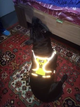 Vest Harness Pet-Dog No-Pull SUPREPET Nylon Adjustable for Large Medium