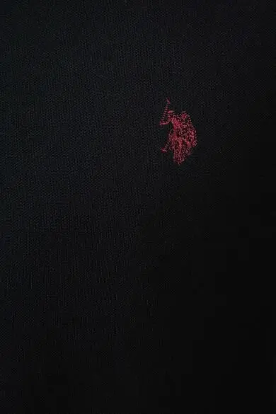 Uss. POLO ASSN. Простая Толстовка - Цвет: Черный